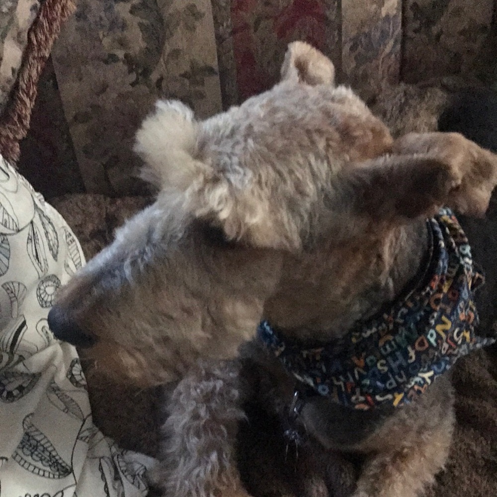 Meet your Posher, Nancy